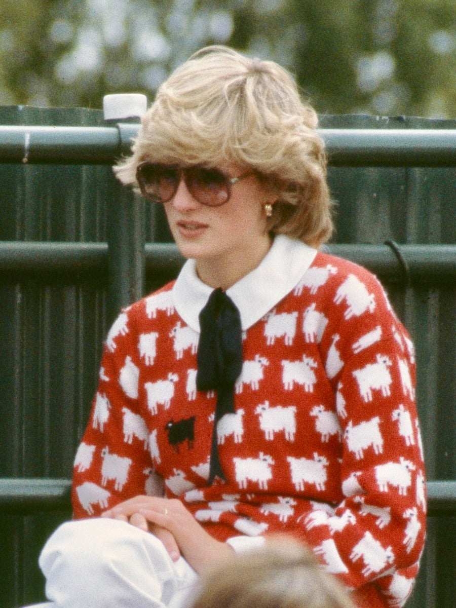 EWELIA PRINCESS AND THE SHEEP SWEATER