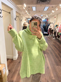 DOG WALKER ICE LIME TNECK RECYCLED